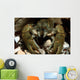 Stone Crayfish Kalkalpen National Wall Decal