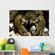 Stone Crayfish Kalkalpen National Wall Decal