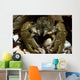 Stone Crayfish Kalkalpen National Wall Decal