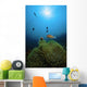 Rays Light Shining Clownfish Wall Decal Design 2