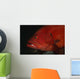 Tomato Grouper Cephalopholis Sonnerati Wall Decal Design 3
