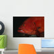 Tomato Grouper Cephalopholis Sonnerati Wall Decal Design 3