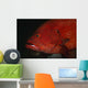 Tomato Grouper Cephalopholis Sonnerati Wall Decal Design 3