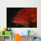 Tomato Grouper Cephalopholis Sonnerati Wall Decal Design 3
