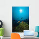 Rays Light Shining Clownfish Wall Decal Design 1