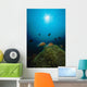 Rays Light Shining Clownfish Wall Decal Design 1