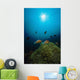 Rays Light Shining Clownfish Wall Decal Design 1