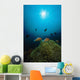 Rays Light Shining Clownfish Wall Decal Design 1