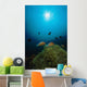Rays Light Shining Clownfish Wall Decal Design 1