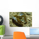 Stone Crayfish Mussel Shell Wall Decal