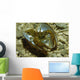 Stone Crayfish Mussel Shell Wall Decal
