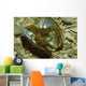Stone Crayfish Mussel Shell Wall Decal