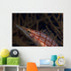 Longnose Hawkfish Oxycirrhites Typus Wall Decal Design 2
