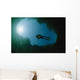 Diver Floating River Surface Wall Decal