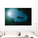 Diver Floating River Surface Wall Decal