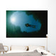 Diver Floating River Surface Wall Decal