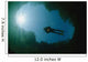 Diver Floating River Surface Wall Decal