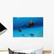 Scuba Divers Swimming Underwater Wall Decal