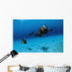 Scuba Divers Swimming Underwater Wall Decal