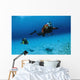 Scuba Divers Swimming Underwater Wall Decal