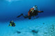 Scuba Divers Swimming Underwater Wall Decal