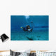 Scuba Diver Familiarizing Himself Wall Decal