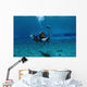 Scuba Diver Familiarizing Himself Wall Decal