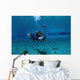 Scuba Diver Familiarizing Himself Wall Decal