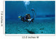 Scuba Diver Familiarizing Himself Wall Decal