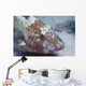 Rosy Goatfish Parupeneus Rubescens Wall Decal
