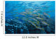 Shoal off Yellowfin Goatfish Wall Decal