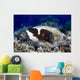 Masked Puffer Arothron Diadematus Wall Decal
