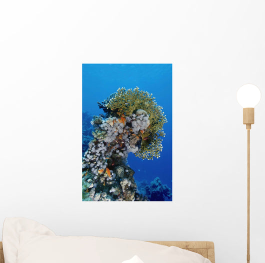 Reefscape Red Sea Wall Decal