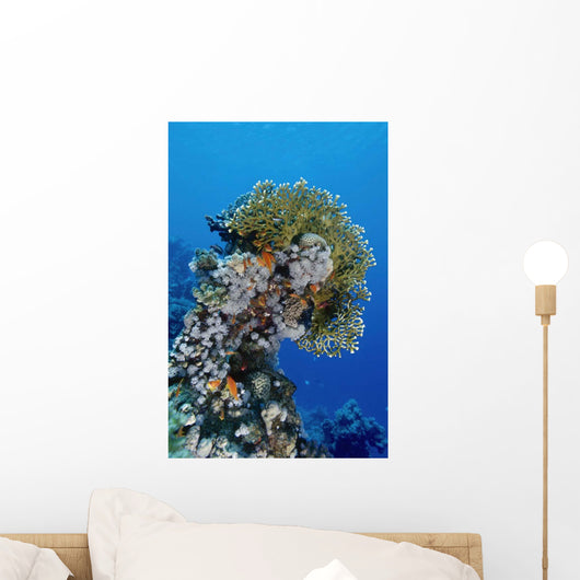Reefscape Red Sea Wall Decal