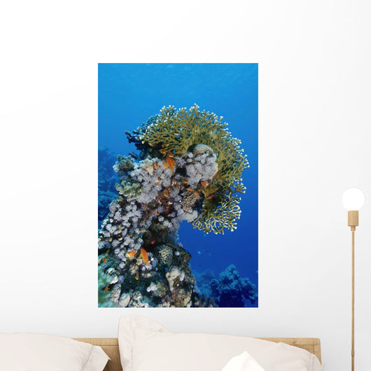 Reefscape Red Sea Wall Decal