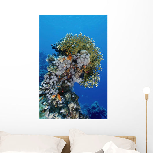 Reefscape Red Sea Wall Decal