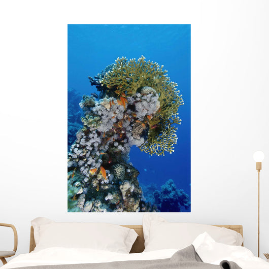 Reefscape Red Sea Wall Decal