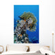 Reefscape Red Sea Wall Decal