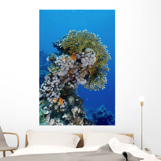 Reefscape Red Sea Wall Decal