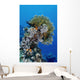 Reefscape Red Sea Wall Decal