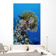 Reefscape Red Sea Wall Decal