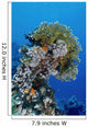 Reefscape Red Sea Wall Decal