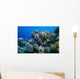 Anthias Fish Swimming around Wall Decal