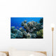Anthias Fish Swimming around Wall Decal