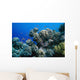 Anthias Fish Swimming around Wall Decal