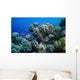 Anthias Fish Swimming around Wall Decal