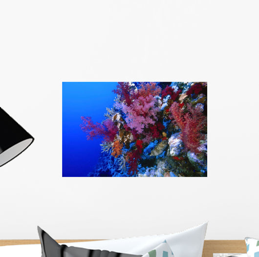 Colorful Soft Coral Reefscape Wall Decal Design 4