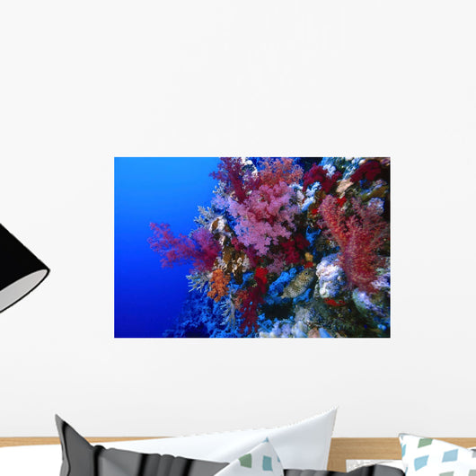 Colorful Soft Coral Reefscape Wall Decal Design 4