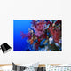 Colorful Soft Coral Reefscape Wall Decal Design 4