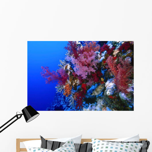 Colorful Soft Coral Reefscape Wall Decal Design 4